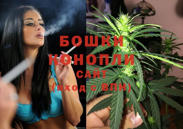 гидра Надым
