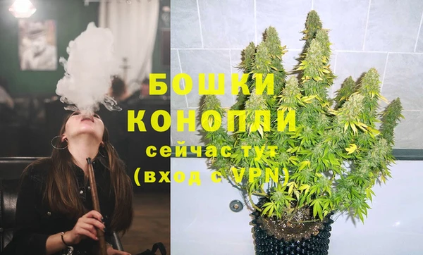 эйфоретик Аркадак