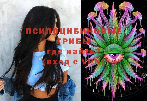прущий лед Арсеньев