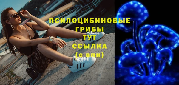 эйфоретик Аркадак