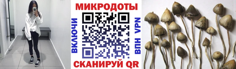 Псилоцибиновые грибы MAGIC MUSHROOMS  где можно купить   Усмань 